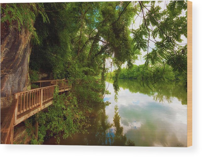 Ijams Nature Park Wood Print featuring the photograph Ijam Nature Park Boardwalk along the Tennessee River by Dee Browning