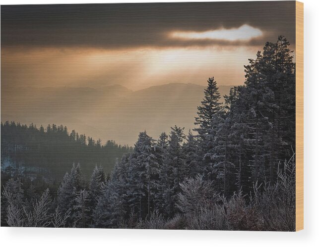 Scenics Wood Print featuring the photograph Illuminated Winter Landscape by Andreas Wonisch