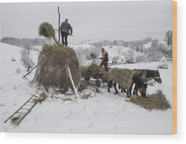 Rural Wood Print featuring the photograph In The Winter by Mihnea Turcu