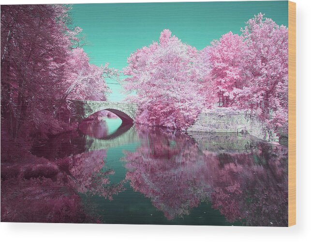 550nm 550 Nm Nanometer Ir Infrared Infra Red Brian Hale Brianhalephoto Bridge Water Reflection Outside Outdoors Nature Brian Hale Brianhalephoto River Bend Farm Uxbridge Ma Mass Massachusetts New England Newengland U.s.a. Usa Cotton Candy Wood Print featuring the photograph Infrared Bridge by Brian Hale