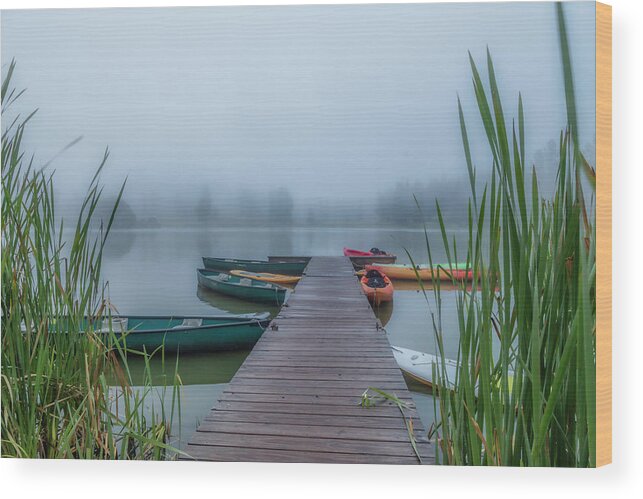 Fog Wood Print featuring the photograph Into The Fog by Lorraine Baum