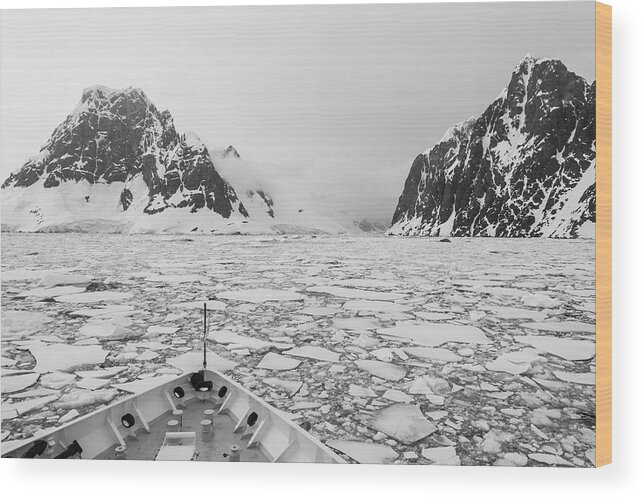 Lemaire Wood Print featuring the photograph Into the Ice by Alex Lapidus