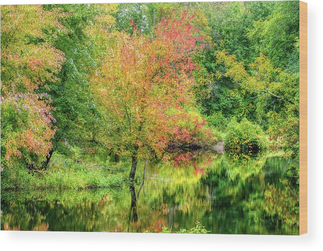 Ipswich River Wood Print featuring the photograph Ipswich River Reflections, Topsfield MA. by Michael Hubley