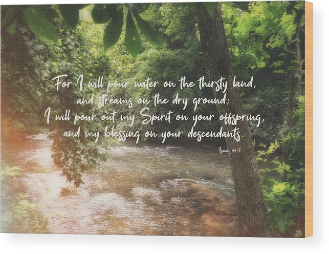 Text Wood Print featuring the photograph Isaiah 44 3 #bibleverse #scripture by Andrea Anderegg