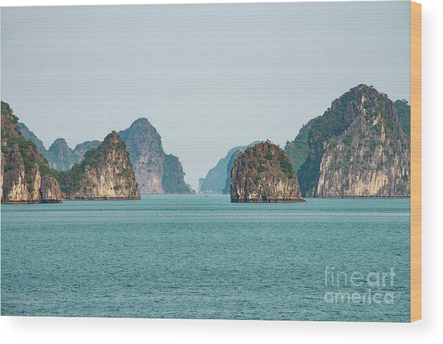 Halong Bay Wood Print featuring the photograph Islands in Halong Bay Six by Bob Phillips