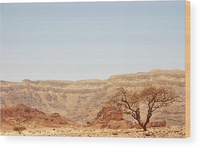 Extreme Terrain Wood Print featuring the photograph Israel Wilderness by Doulos