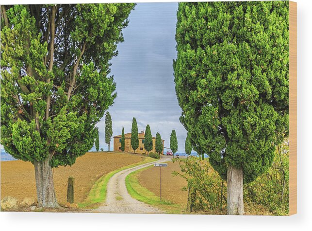 Tuscany Wood Print featuring the photograph Italian Country Living by Lev Kaytsner