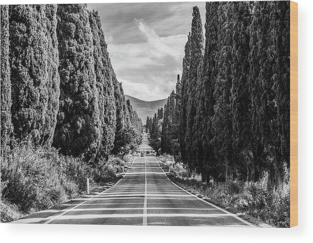 Estock Wood Print featuring the digital art Italy, Tuscany, Livorno District, Maremma, Bolgheri, View Of Viale Dei Cipressi by Massimo Borchi