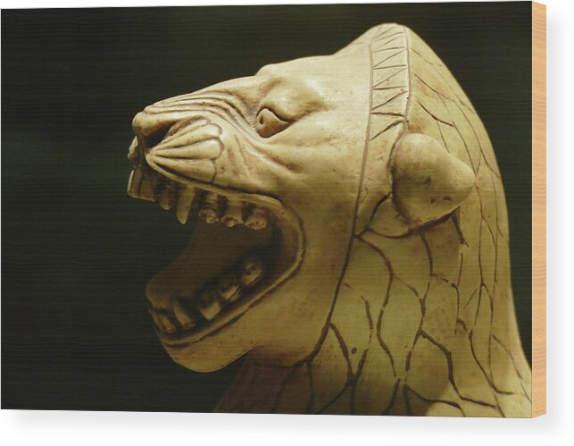 8th Wood Print featuring the photograph Ivory statue of seated lion from Alintepe by Steve Estvanik