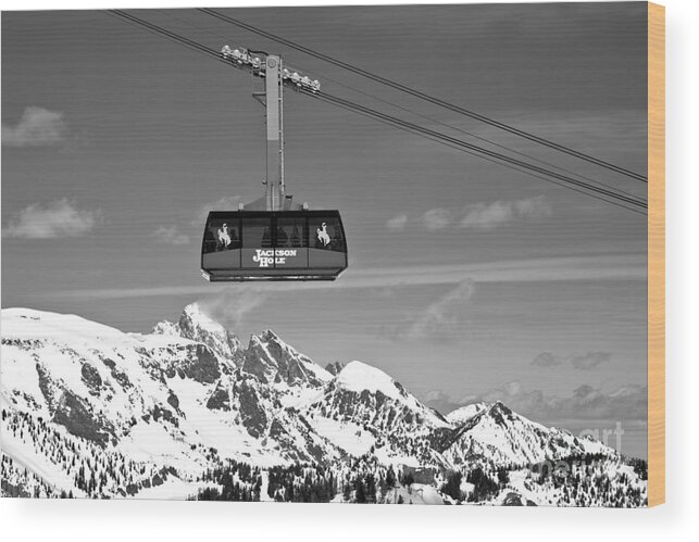Jackson Hole Tram Wood Print featuring the photograph Jackson Hole Tram Over The Snow Caps Black And White by Adam Jewell