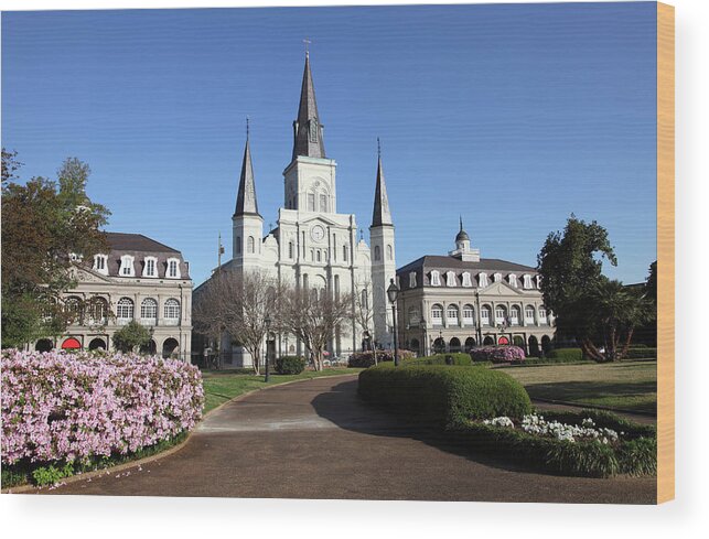 Southern Usa Wood Print featuring the photograph Jackson Square New Orleans by Denistangneyjr