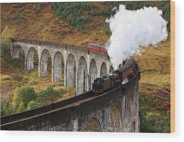 Curve Wood Print featuring the photograph Jacobite Express by David Cation Photography