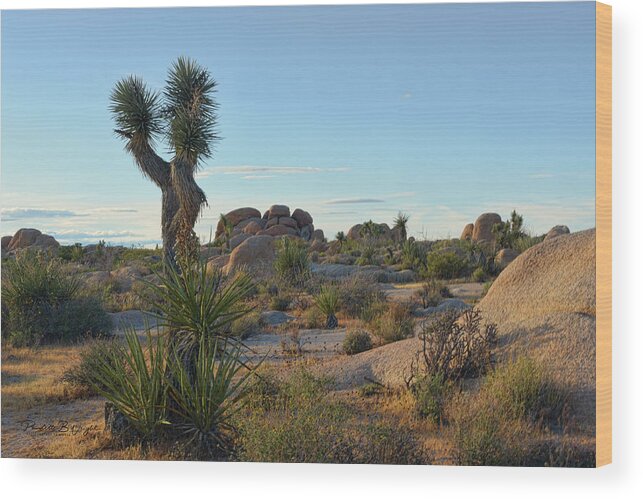 Top Wood Print featuring the photograph Joshua Tree by Paulette B Wright