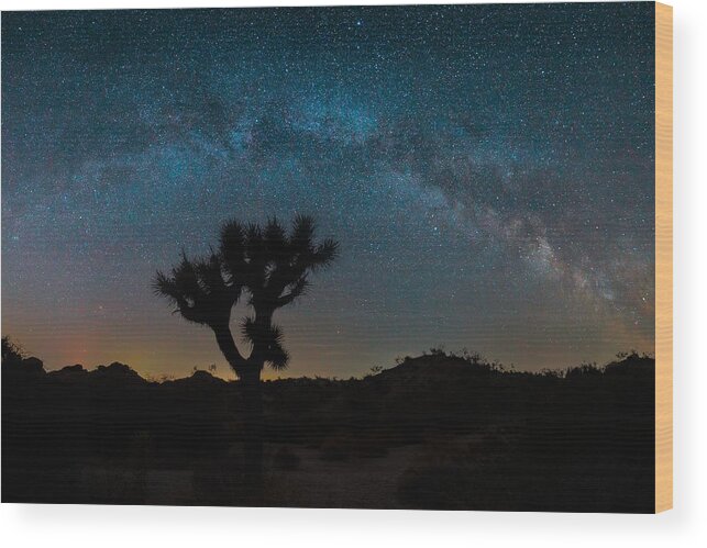 Starry Wood Print featuring the photograph Joshua Tree Under Stars by Jay Zhu