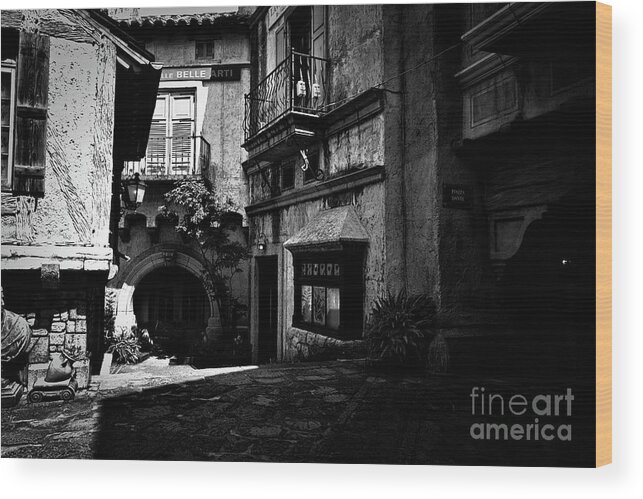 Photograph Wood Print featuring the photograph Julie's Photo Monochrome-389 by Fine art photographer JULIE