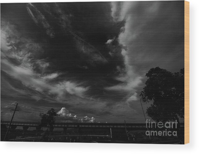 Photograph Wood Print featuring the photograph Julie's Photo Monochrome-429 by Fine art photographer JULIE