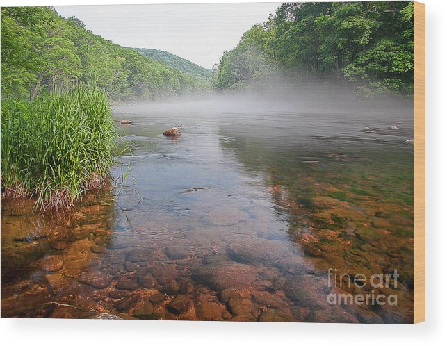 Farmington River Wood Print featuring the photograph June Morning Mist by Tom Cameron
