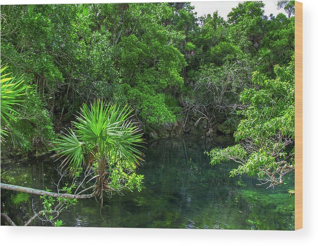 Jungle Wood Print featuring the photograph Jungle of Xel-Ha by Sun Travels