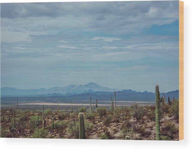 Desert Wood Print featuring the photograph Just Breathe by Melisa Elliott