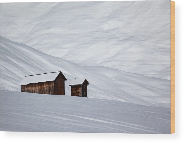 Landscape Wood Print featuring the photograph Just Two by Uschi Hermann