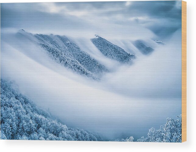 Balkan Mountains Wood Print featuring the photograph Kingdom Of the Mists by Evgeni Dinev