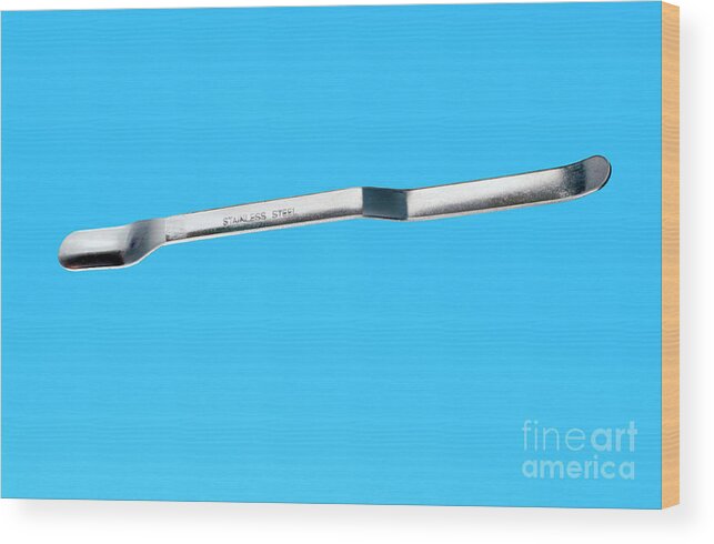 Chemistry Wood Print featuring the photograph Laboratory Spatula by Martyn F. Chillmaid/science Photo Library