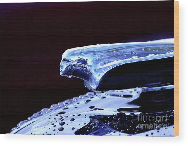 Cadillac Hood Ornament Wood Print featuring the photograph Lady in the Rain by Terri Brewster