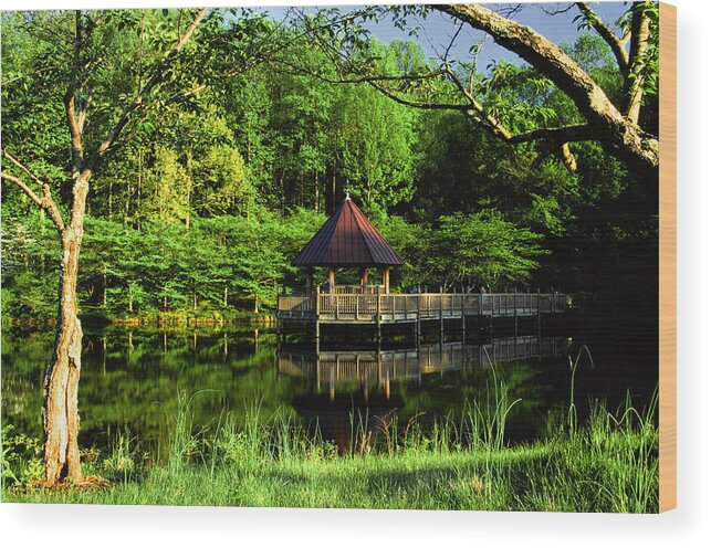Lush Wood Print featuring the photograph Lake and Gazebo on a Spring Afternoon by Steve Ember