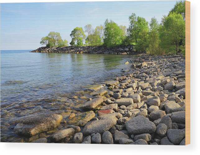 Scenics Wood Print featuring the photograph Lake Ontario Beach by Orchidpoet