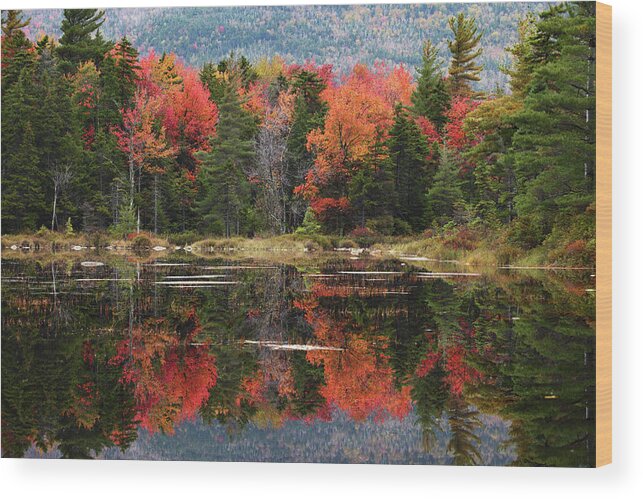 Scenics Wood Print featuring the photograph Lake Perfectly Reflects Powerful Fall by Ilia Shalamaev Wwwfocuswildlifecom