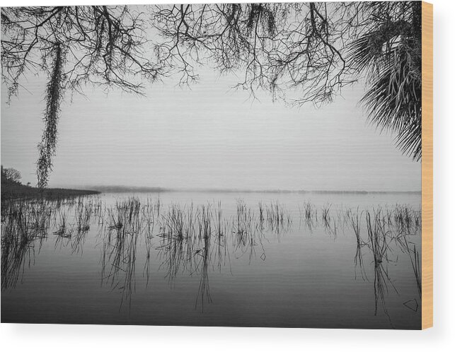 Nature Wood Print featuring the photograph Lake Tarpon by Joe Leone