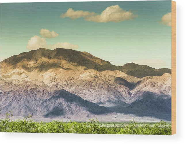 Top Artist Wood Print featuring the photograph Landscape Joshua Tree 7370 by Amyn Nasser