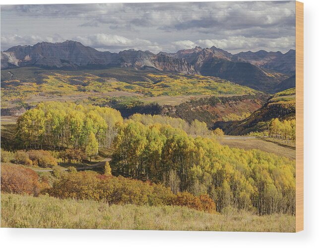 Colorado Wood Print featuring the photograph Last Dollar Road by James BO Insogna