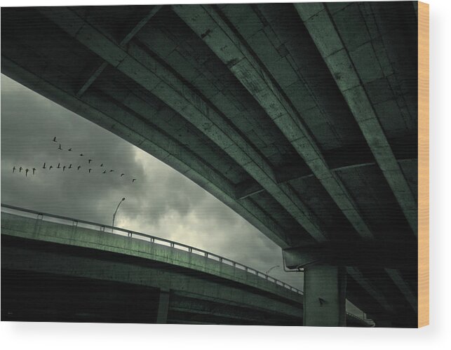 Mood Wood Print featuring the photograph Last Flight by David Senechal Photographie (polydactyle)