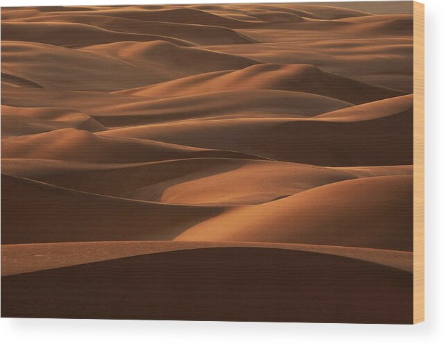 Scenics Wood Print featuring the photograph Late Afternoon Light On The Sand Dunes by Mint Images - Art Wolfe