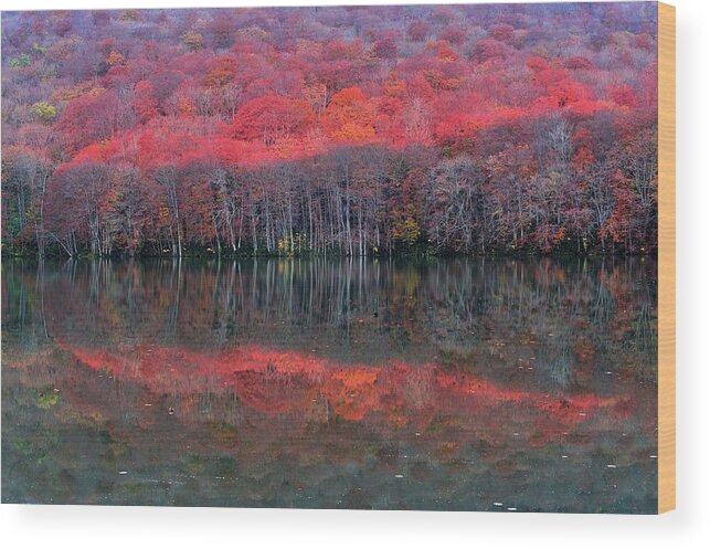 Tranquility Wood Print featuring the photograph Late Autumn by Katsumi.takahashi