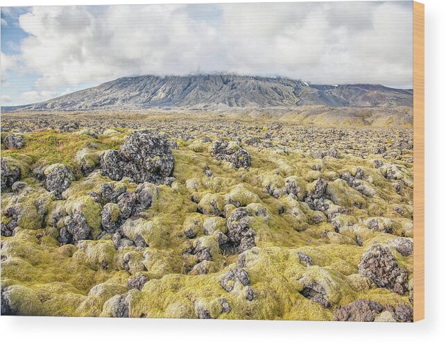 David Letts Wood Print featuring the photograph Lava Fields of Iceland by David Letts