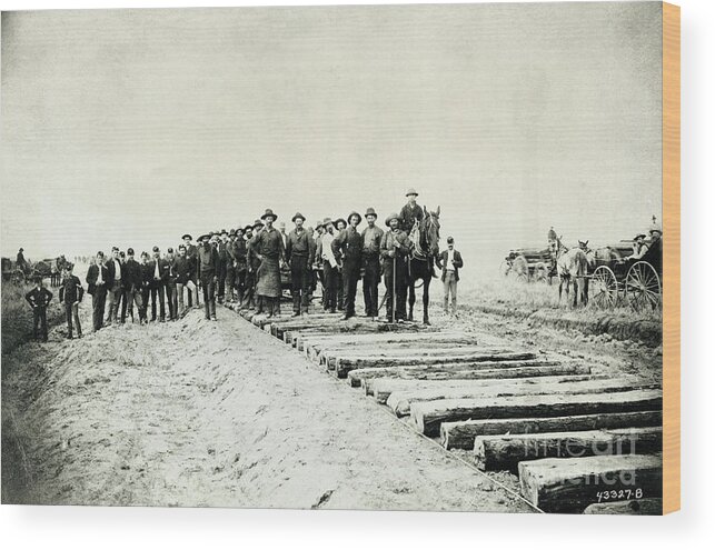 Crowd Of People Wood Print featuring the photograph Laying Down Railroad Tracks by Bettmann