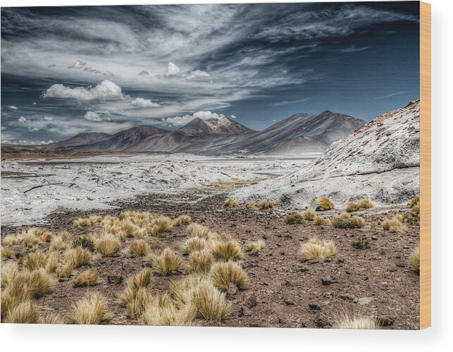 Atacama Wood Print featuring the photograph Le Salar De Talar by Loulou Moreau