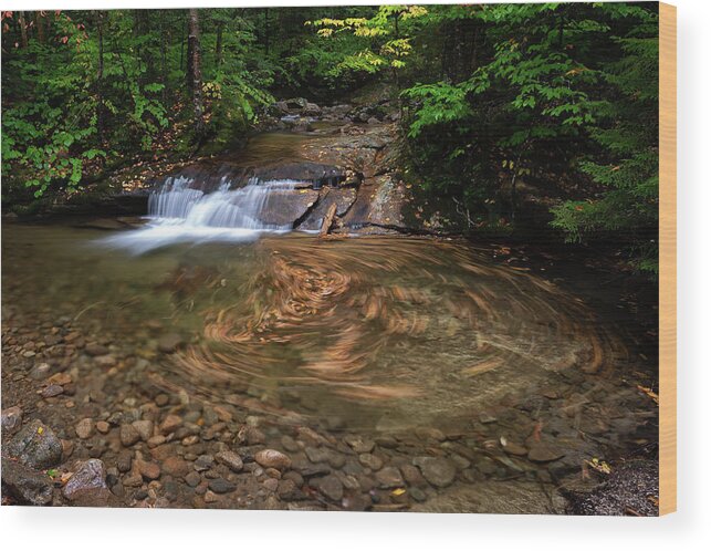 Swirl Wood Print featuring the photograph Leaf Swirl at a Small Cascade in Franconia Notch State Park II by William Dickman