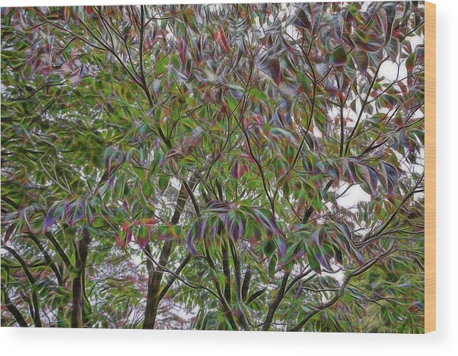 Nature Wood Print featuring the photograph Leaves full of Color by Crystal Wightman