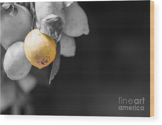Lemon Wood Print featuring the photograph Lemon by Eva Lechner