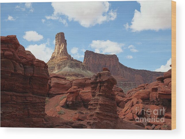 Canyonlands Wood Print featuring the photograph Let the Chips Fall by Jim Garrison