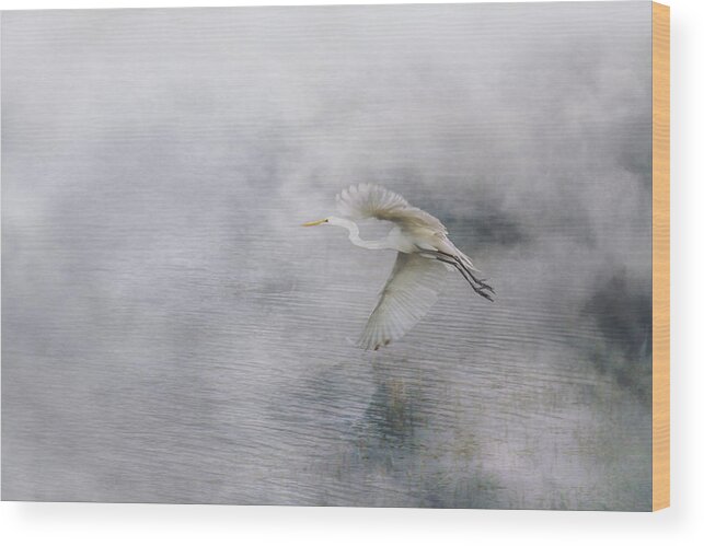 Bird Wood Print featuring the photograph Levitation by Iryna Goodall