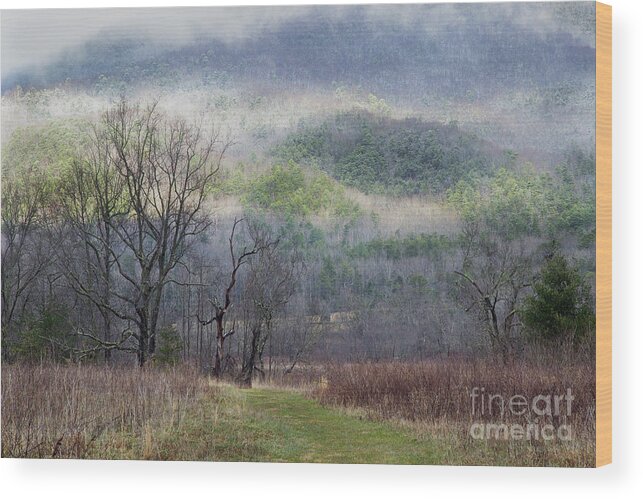 Smoky Mountains Wood Print featuring the photograph Light Mountain Snow by Mike Eingle
