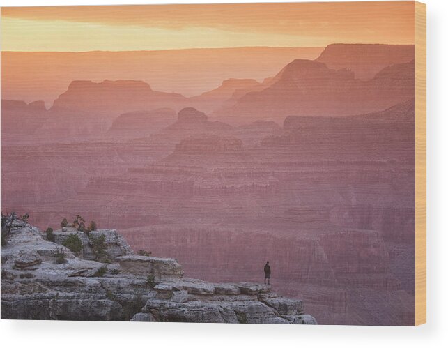 American National Parks Wood Print featuring the photograph Lights And Shadows At Sunset In Grand Canyon by Cavan Images