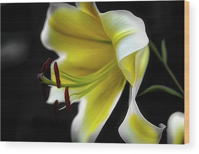 Lily Wood Print featuring the digital art Living in the Dark by Renette Coachman