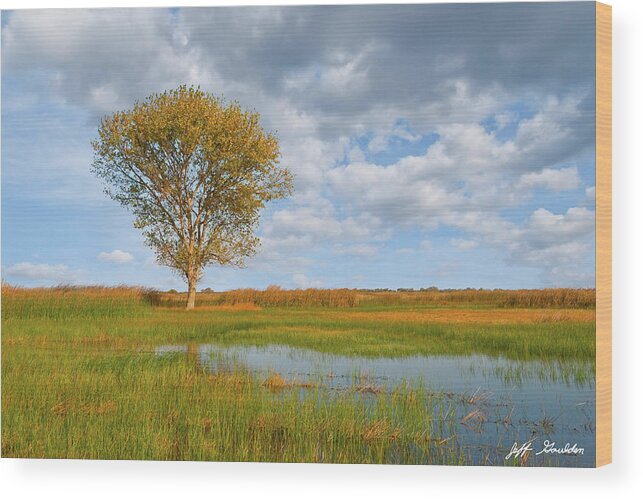Autumn Wood Print featuring the photograph Lone Tree by a Wetland by Jeff Goulden