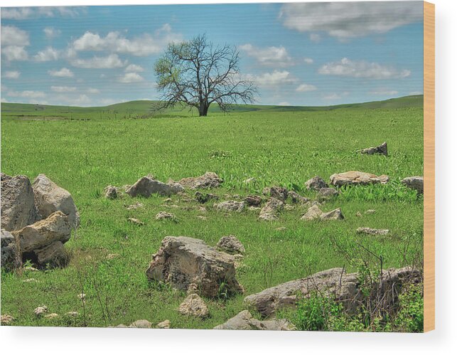 Blue Wood Print featuring the photograph Lone Tree In The Flint Hills Of Kansas by Michael Scheufler