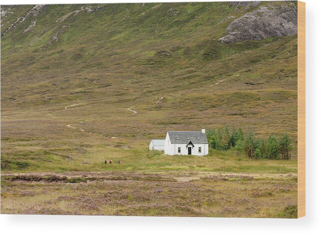 Guesthouse Wood Print featuring the photograph Lonely House in Scotland by Michalakis Ppalis